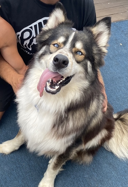 Axel