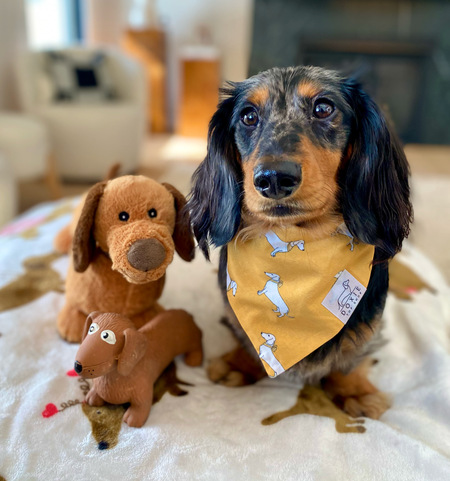 Oscar Mayer Weenie