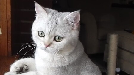 Binx