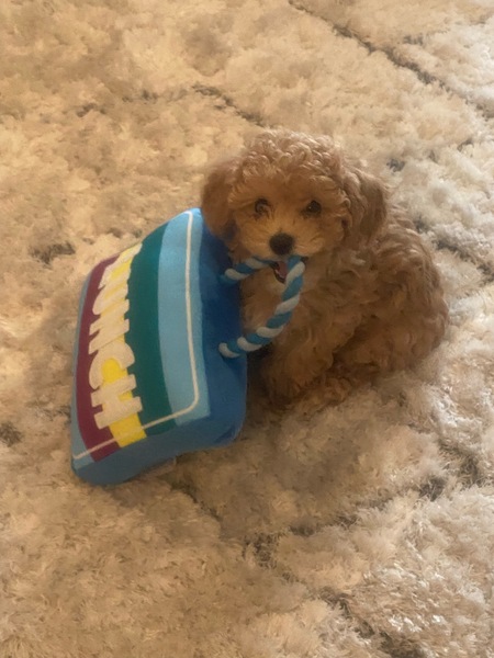 Winnie
