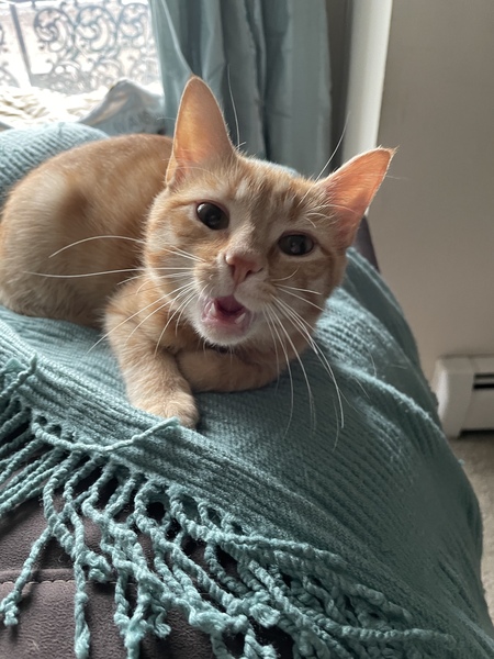 Milo