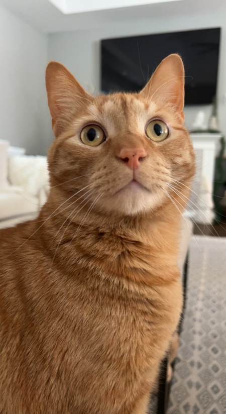 Charlie