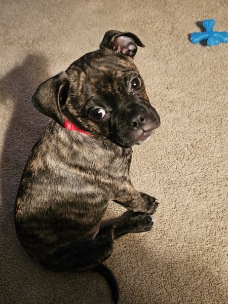 Jack