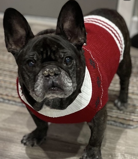 Walter 