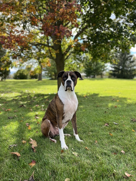 Toby 