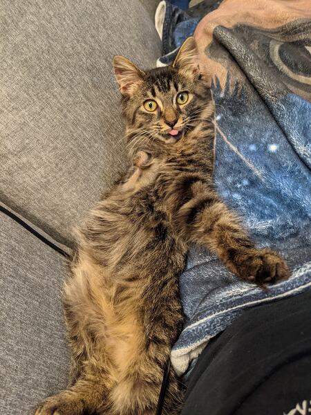 C. Montgomery Bones (Monty)