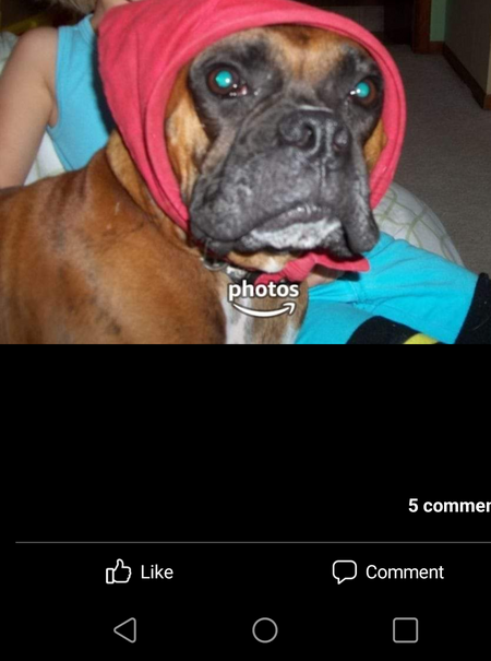 Brody