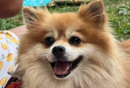 Winnie