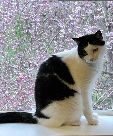 Charles