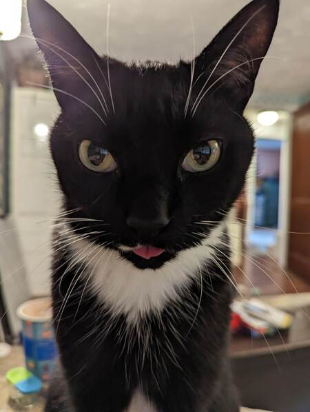 Pip