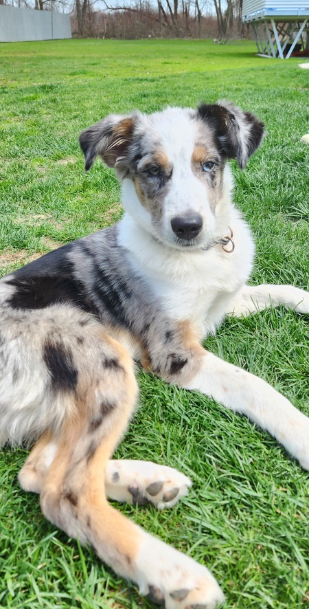 Oakley 