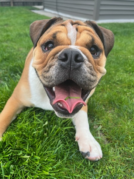 Nala
