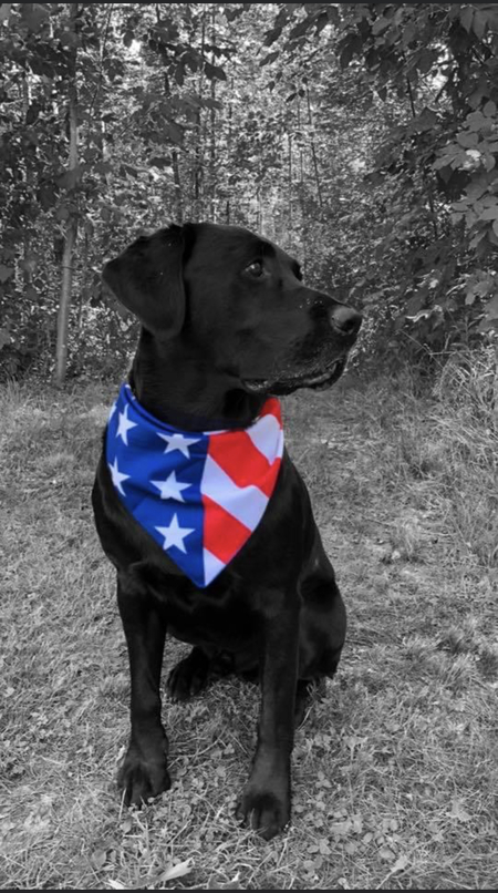 Duke