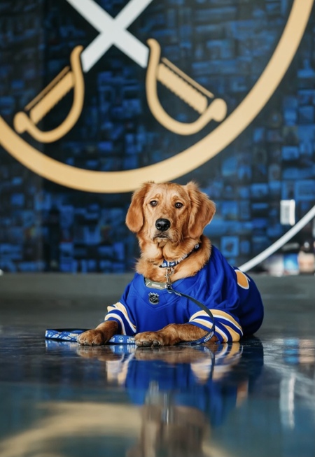 Nikki the Buffalo Sabres dog 2023  