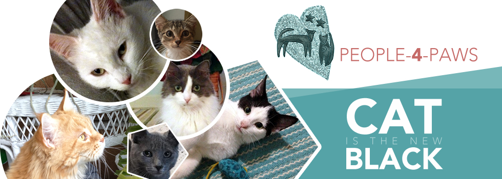 Banner for Cat is the New Black