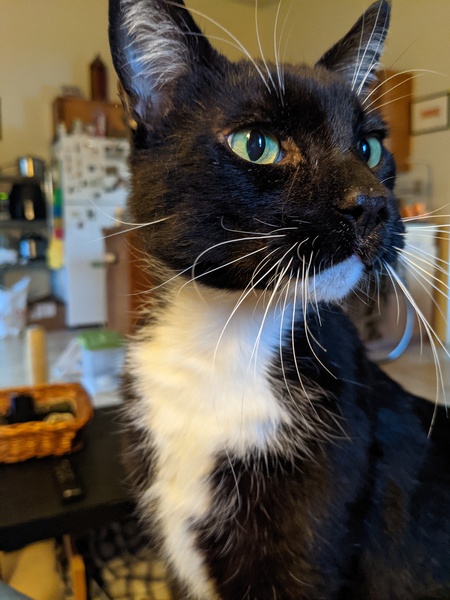 Claude (aka Bud)