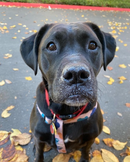 Gracie Mae 