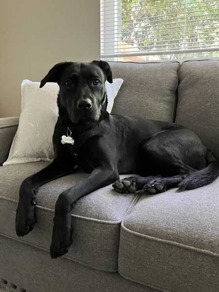 Bella