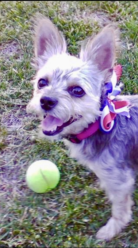 Daisy