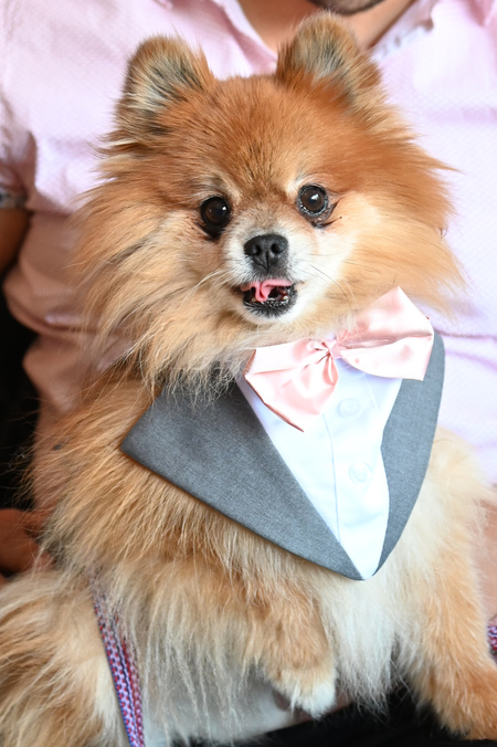Chewy