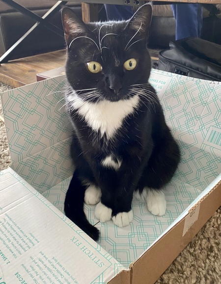 Remy