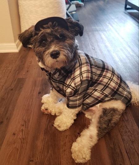 Sebastian 