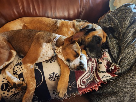 Abby & Ivy Finley