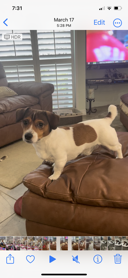 Tucker 