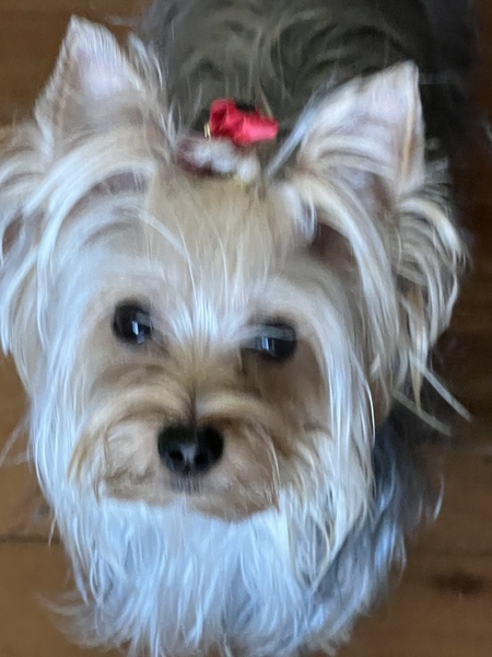 Lucy