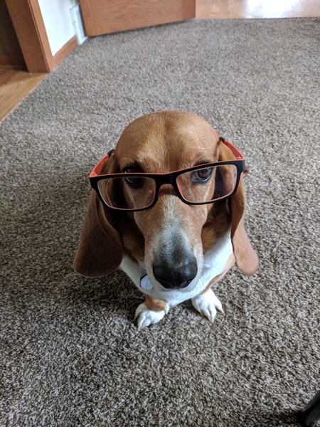 Leela