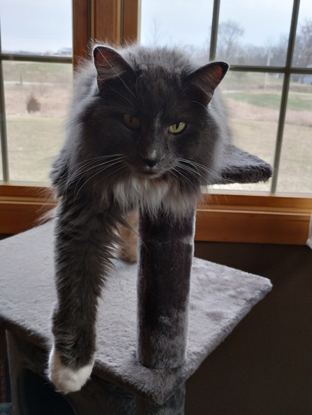 Smokey