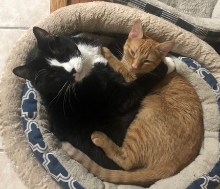 Jasper and Finley