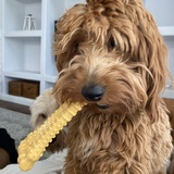 Entry image for Dan-Dan