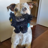 Entry image for Dotti