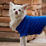 Entry image for Jake 