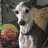 Entry image for Dexter