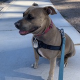 Entry image for Hayley 