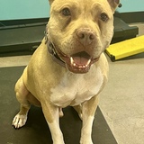 Entry image for Chance aka "Chancy Romancy"