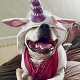 Entry image for Chelsea