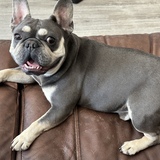 Entry image for Samuel