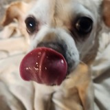 Entry image for Lulu