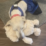 Entry image for Gunner