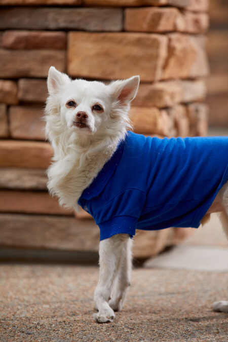 Entry image for Jake . Clicking this image will show a larger photo