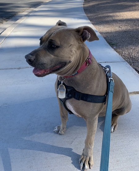 Entry image for Hayley . Clicking this image will show a larger photo