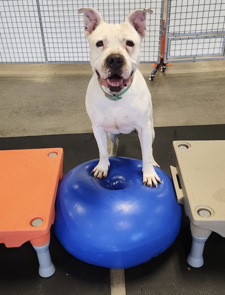 Entry image for Paul Newman. Clicking this image will show a larger photo