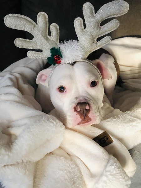 Entry image for Lexi. Clicking this image will show a larger photo