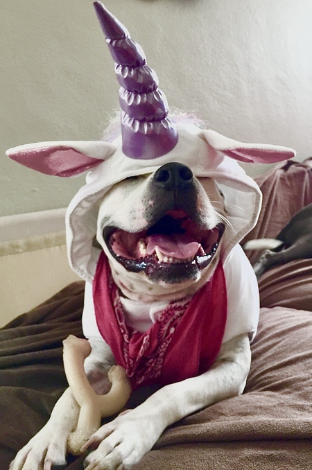 Entry image for Chelsea. Clicking this image will show a larger photo