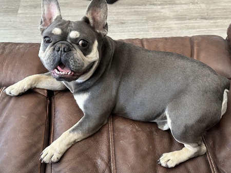 Entry image for Samuel. Clicking this image will show a larger photo