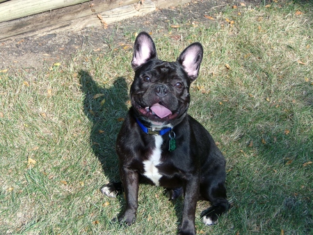 Rocky