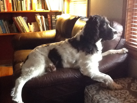 Marley